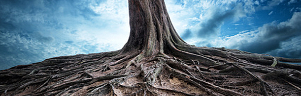 roots of perfectionism